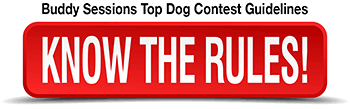 Know the Rules for The Buddy Sessions Top Dog Contest