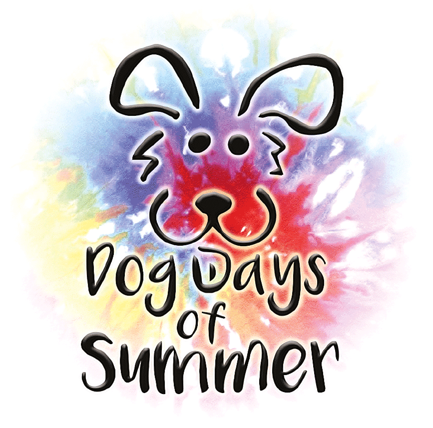Dog Days of Summer Festival in downtown Kent Ohio